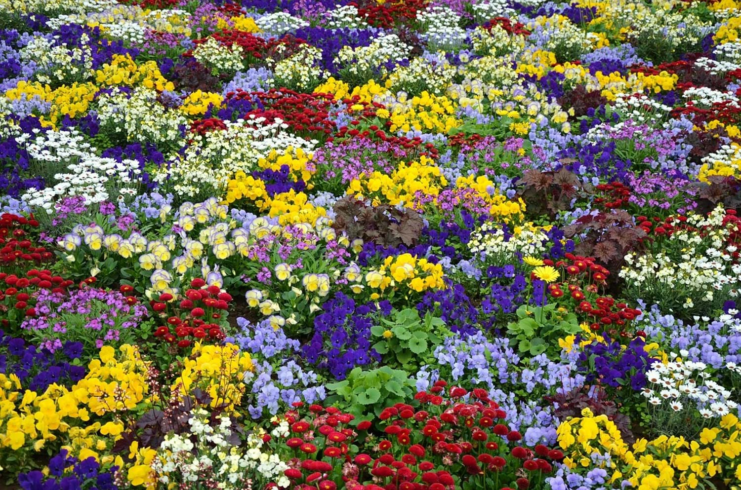 Voller Erfolg Auf Der Landesgartenschau Alzenau Lokale