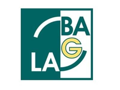 BAG LAG e. V.