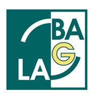 BAG LAG e. V.